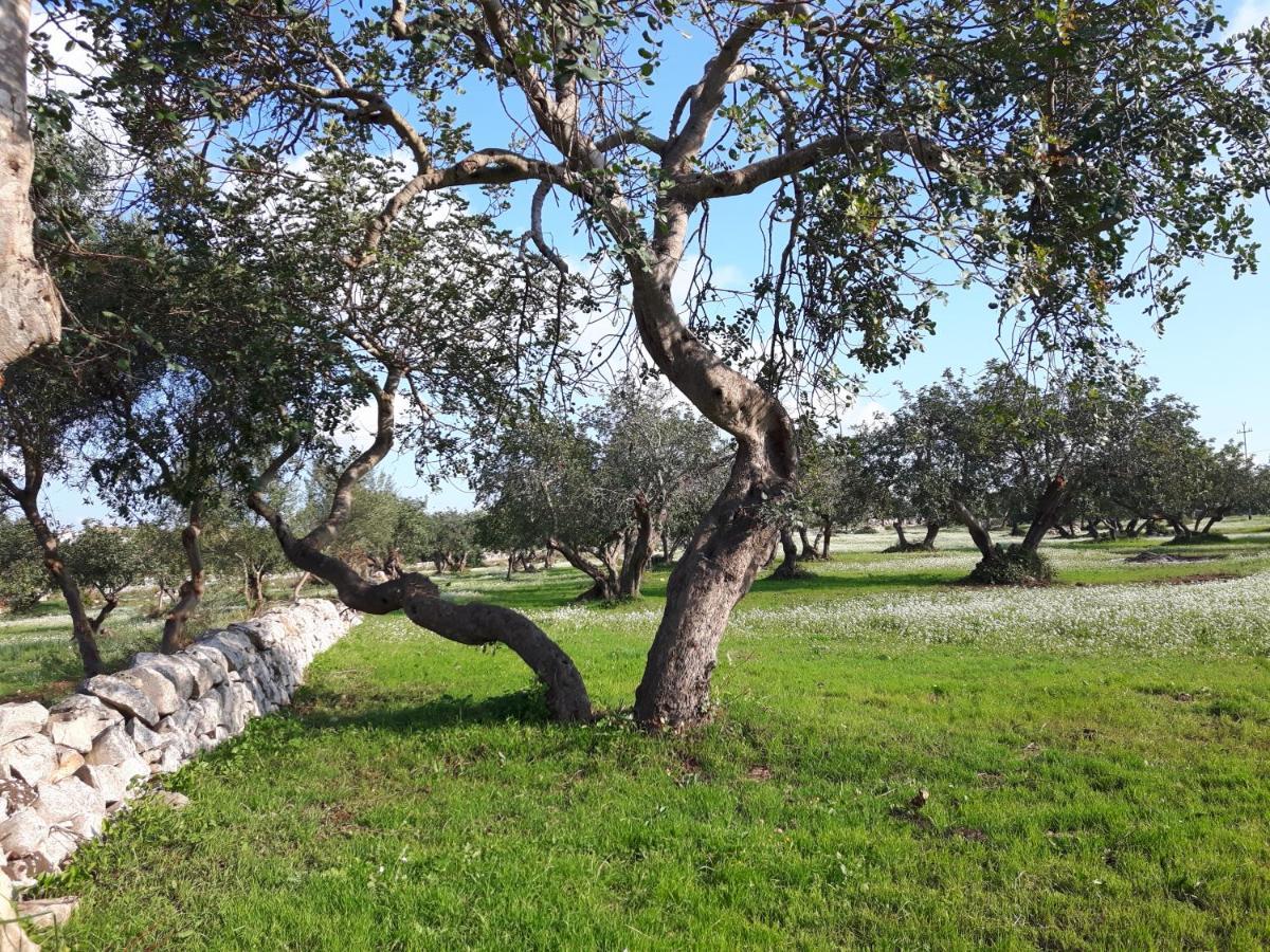 Scicli Citta Felice Vila Exterior foto